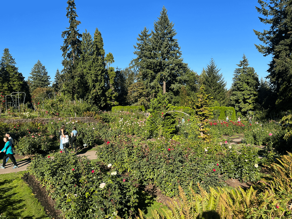 3 MustVisit Gardens in Portland, Oregon Ashley Avenue