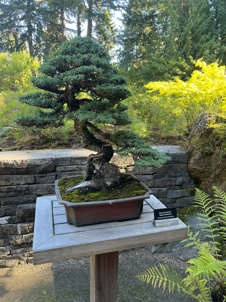 3 MustVisit Gardens in Portland, Oregon Ashley Avenue